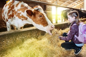 Met je klas naar de boerderij - Antoons Erf