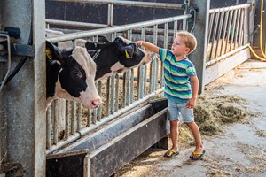 Boerenhulpdiploma voor kinderen 