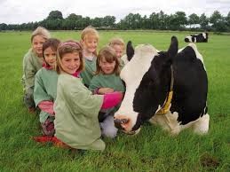 Boerderijlessen op de kinderboerderij