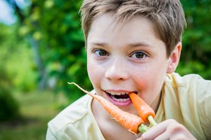 Moestuintje in de klas