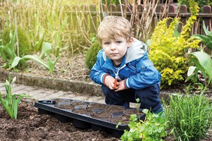 Lesbrief schoolmoestuin