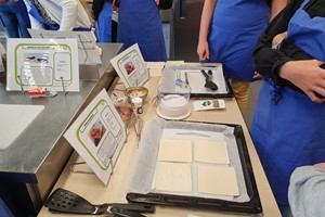 Insecten in de klas: gastles met proeverij en koken