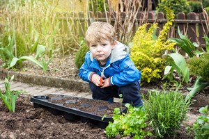 Workshop je eigen moestuin