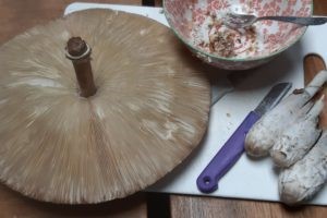 Workshop Natuurlijk Koken of workshop Eten uit de natuur 