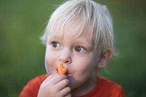 Eet Smakelijk: Groente en Fruit (leskist)