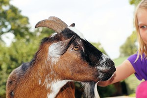 Eet Smakelijk: De Boerderij (leskist)