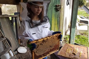 Bijenles bij de imkervereniging