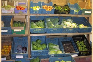 BSO kids Lekker Boer! bij tuinderij Haverkamp