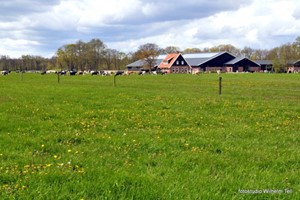 Kiekeboer'n bij Melkveebedrijf Pasman-Aalpol