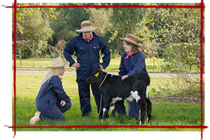 Boerderijeducatie Salland-Vechtdal - Kom en beleef het bij Boer-3