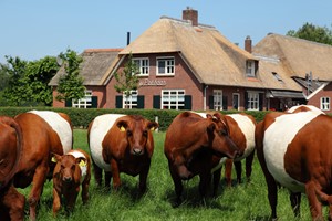 Boerderijeducatie Salland/Vechtdal - De Pothaar (en boerderijmuseum) 