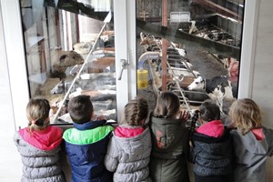 Boerderijeducatie IJsseldelta - Het Kamperriet