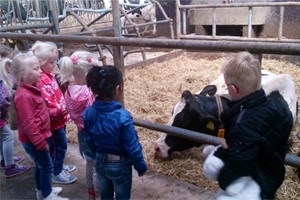 Kiekeboer'n bij Melkveebedrijf Hassink