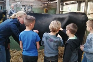 Kiekeboer'n bij Melkveebedrijf Smelt-Luttikhedde