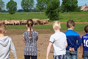 Boerderijeducatie Salland - Excursie bij Biologische varkenshouderij Familie Hillebrand