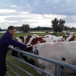 Meesterboeren - Excursie bij Biologisch melkveebedrijf Valk-van Dam