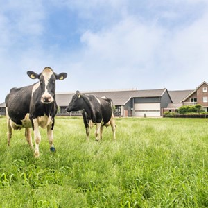 Excursie Melkveebedrijf Familie Spiker