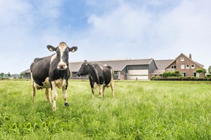 Boerderijeducatie IJsseldelta - Excursie Melkveebedrijf Familie Spiker