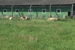 Boerderijeducatie Salland - Familie Stegink