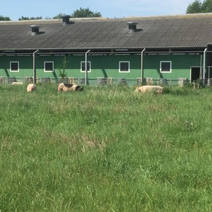 Meesterboeren - Familie Stegink