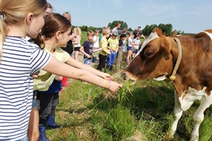 De kennismaking met elkaar