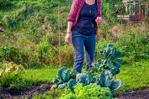 Hapklare lessen in de moestuin