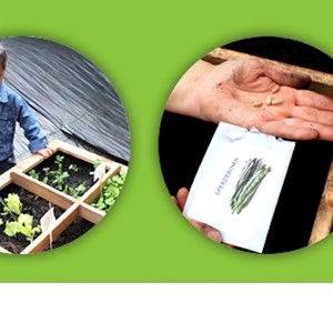 Smakelijke Moestuinen