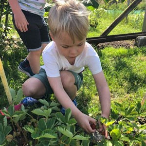 Moestuincoach
