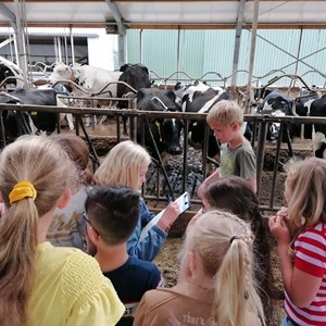 Educatie- en melkveebedrijf Kelder