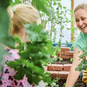 Moestuincoach Zwolle