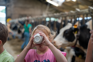 Boerderij Educatie Overijssel